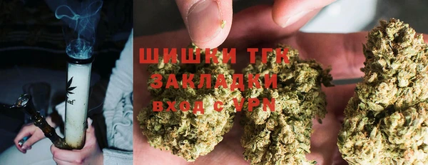 ПСИЛОЦИБИНОВЫЕ ГРИБЫ Вязьма
