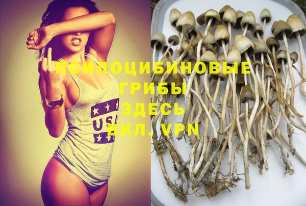 гидропоника Вяземский