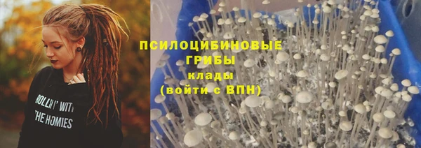 мяу мяу мука Волоколамск