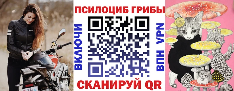 Галлюциногенные грибы Cubensis Заводоуковск